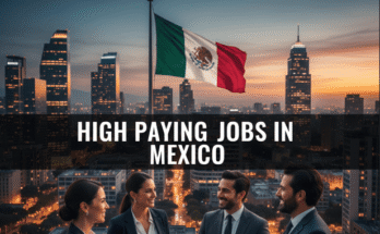 high paying jobs in mexico